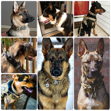 Load image into Gallery viewer, Tactical Dog Training Collar with or without Lead - petssportsandmore

